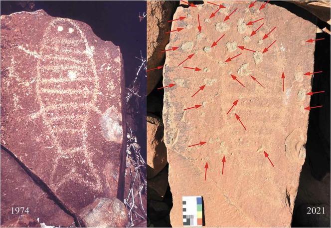 One of the largest rock art ensembles in the world threatened by petrochemical industries - Vimarsana News