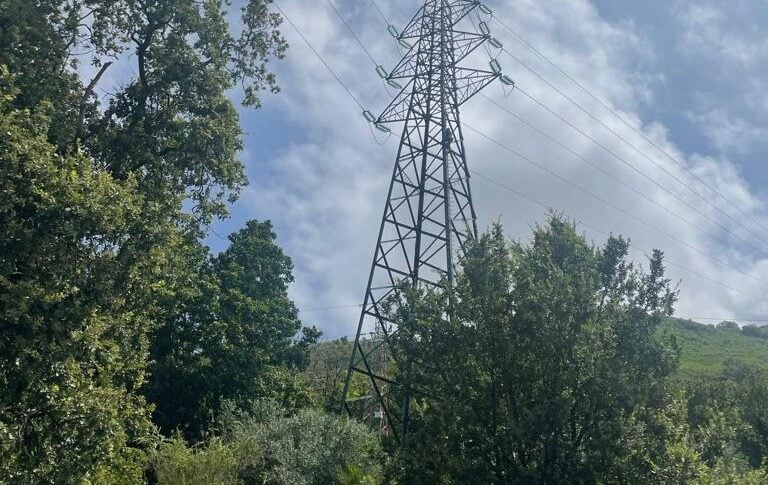 Vibo, climbs a trellis and threatens to jump into the void.  Then they dissuade him and he suspends the protest