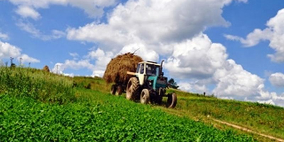 Agriculture Calabria, Federacma writes to councilor Gallo on the 22 million euros of the Pnrr machinery tender