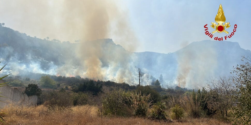 Heat and fires, heavy toll in Calabria: around 100 interventions by the firefighters