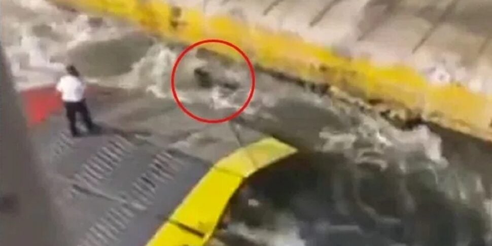 Late passenger tries to board the ferry in Piraeus, crew pushes him into the sea: dead at 36