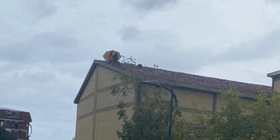 Corigliano Rossano, two former public green workers climb onto the roof of a school in protest