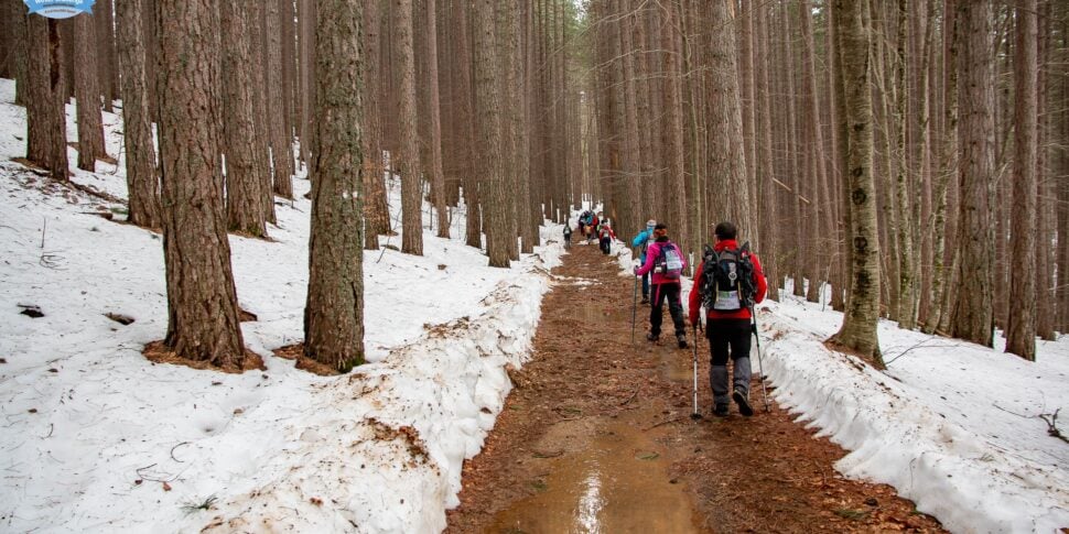 Sila3Vette is back, the real adventure from 21 to 25 February 2024 in Calabria