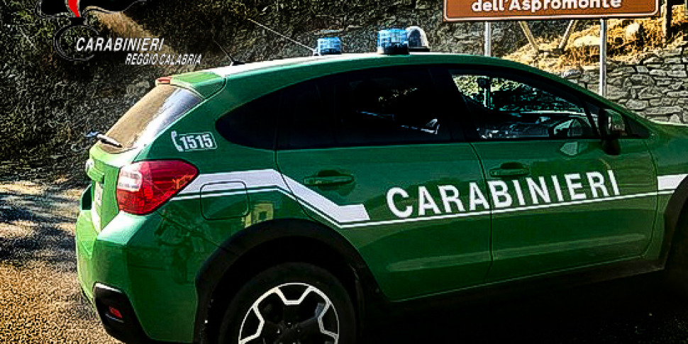 They hunted birds of protected species in Reggio Emilia during closed hunting periods: four people reported.  Weapons and electrical decoys seized