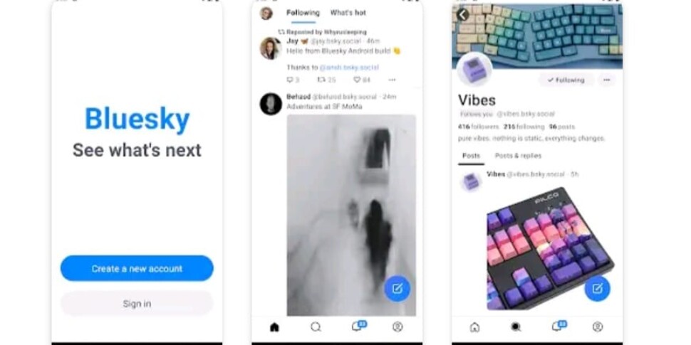 Bluesky, the alternative to X reaches 2 million users
