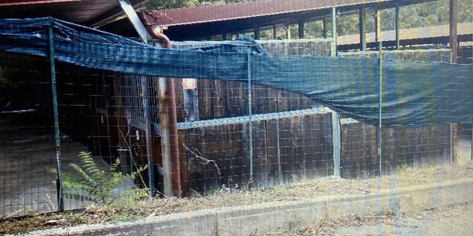 Catanzaro, fatally wounded two men with hoe blows: the sentence for the stableman of the "Valle dei Mulini" equestrian center was reduced to 18 years