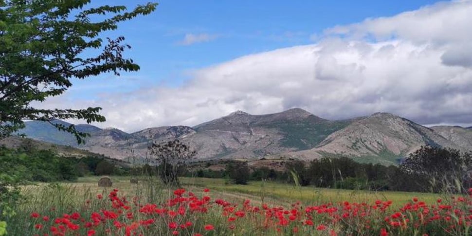 Inland areas, the Democratic Party's commitment to curb depopulation.  Study day in Mongiana with Irto and Sarracino