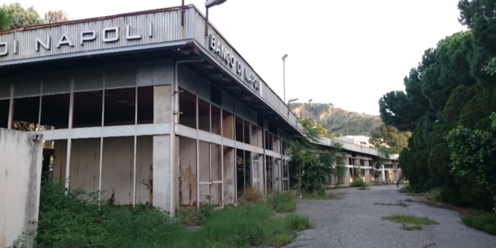 Former Reggio Citrus Fair, Catalano: «False and biased accusations from Marcianò»