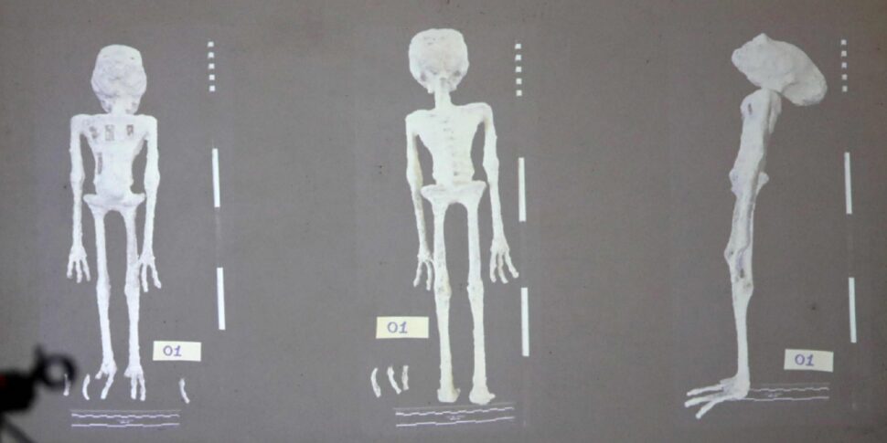 The "mystery" of the extraterrestrial mummies found in Peru: here is the opinion of the experts