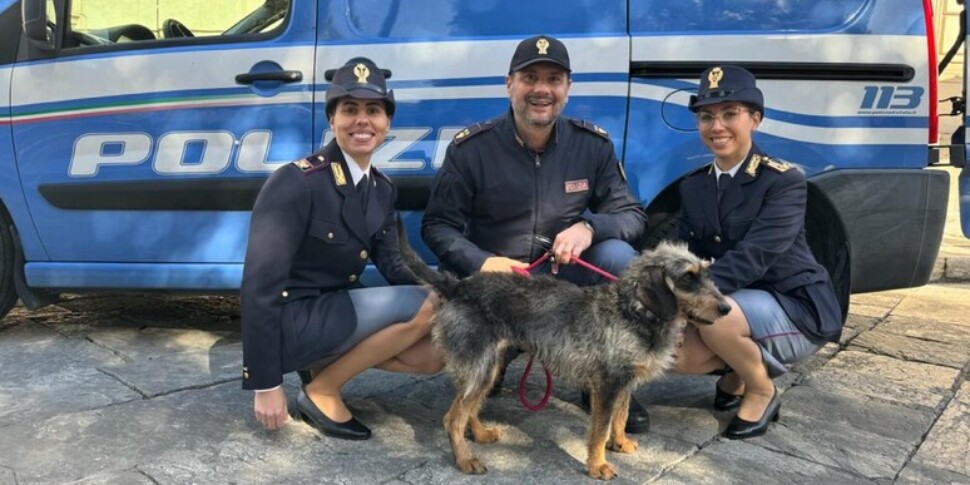 Lisa, the dog adopted by the Police in Reggio Calabria, joins the Dog Group