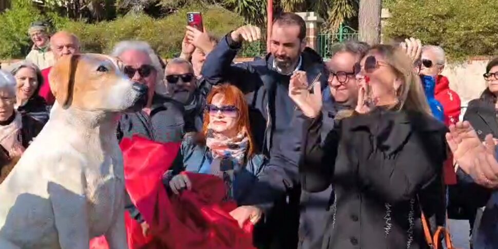 Messina, Omar and Nero, friends forever, will still "live" in the square of Ganzirri