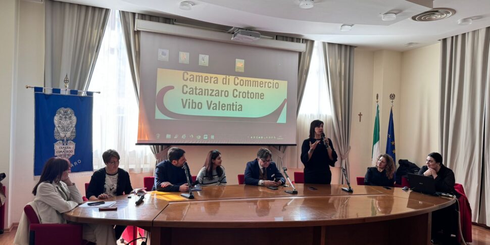 Self-entrepreneurship, the Chamber of Commerce meets with schools in Catanzaro to encourage young people to "start their own business"