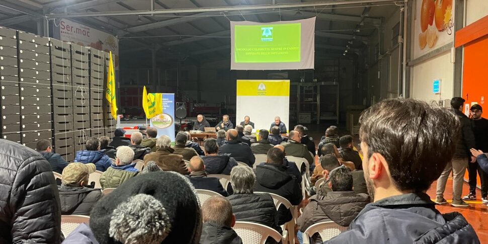 Coldiretti Calabria pressing on the CAP: clear answers, certain times and simplification are needed