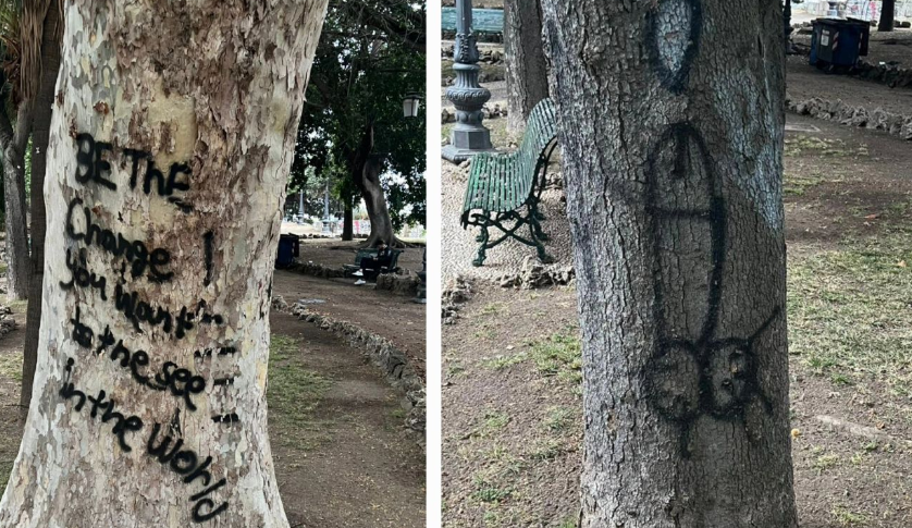 Spray can on trees in Reggio, Falcomatà to the vandals of the municipal Villa: "Look in the mirror and spit in your face"