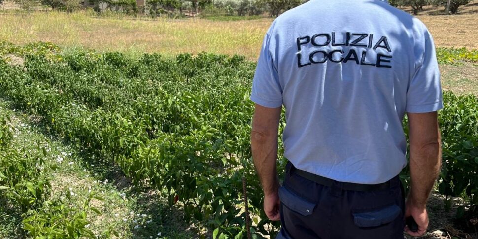 Catanzaro, local police at work against water waste and theft: seizures and fines for illegal connections and improper use for irrigation of large vegetable gardens