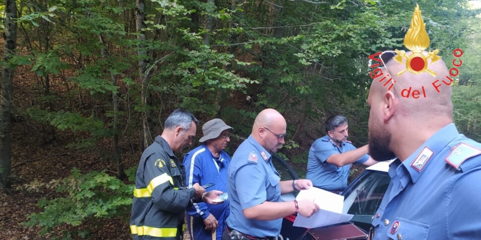 Elderly man found by firefighters gets lost in Sila woods while looking for mushrooms