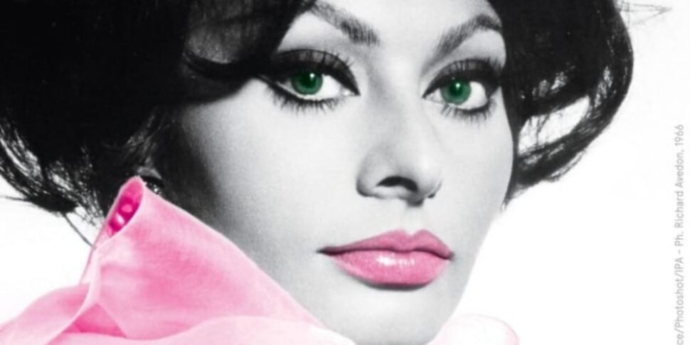 I-Fest 24 between Castrovillari and Pollino, Calabria becomes an international stage