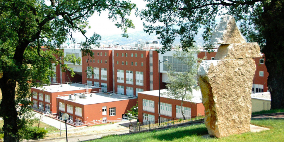 University of Calabria, ok for the new degree in languages ​​for communication