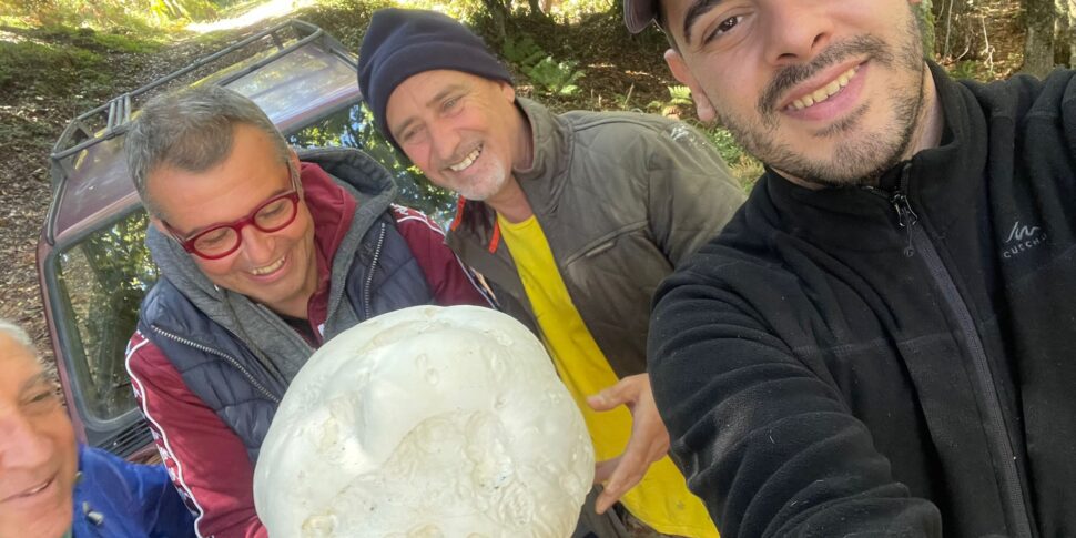 Tripi, administrators hunting for mushrooms find a large specimen