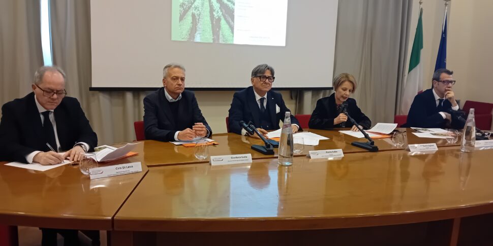 Agriculture report from the Chamber of Commerce: data from the provinces of Catanzaro, Crotone and Vibo Valentia presented