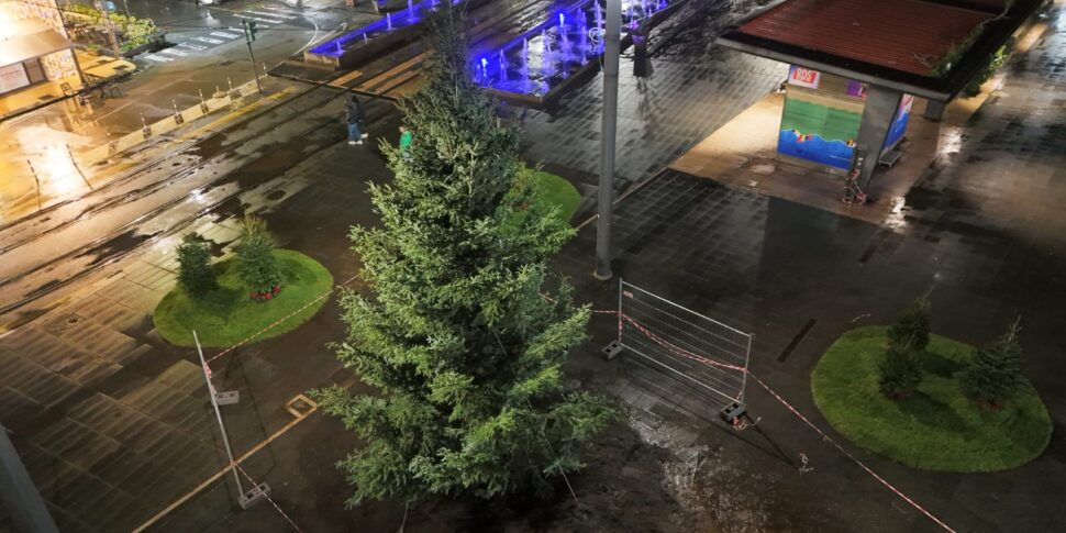 Messina, the magic of Christmas lights up. And in Piazza Cairoli comes... the PHOTO tree