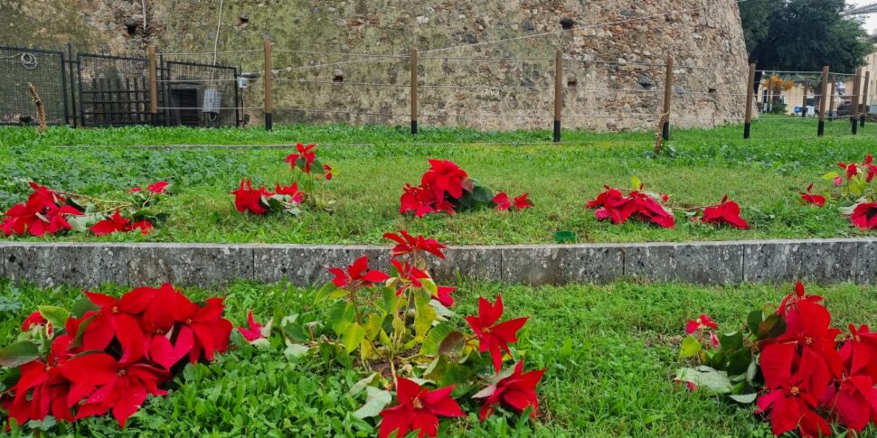 Reggio Calabria, the Christmas stars in Piazza Castello were damaged