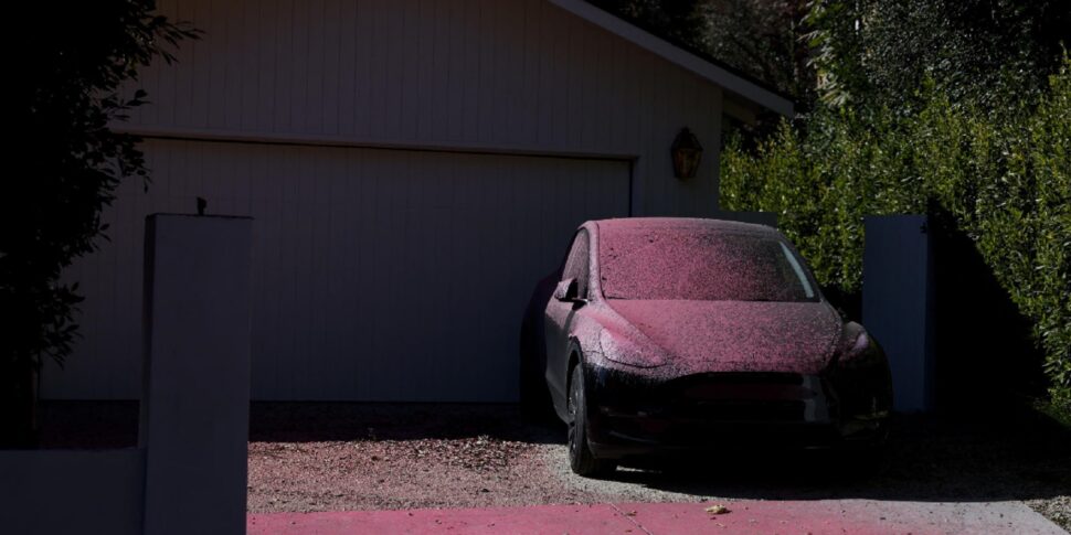 Fires in Los Angeles: 25 dead. Anti-flame powder paints the city fuchsia