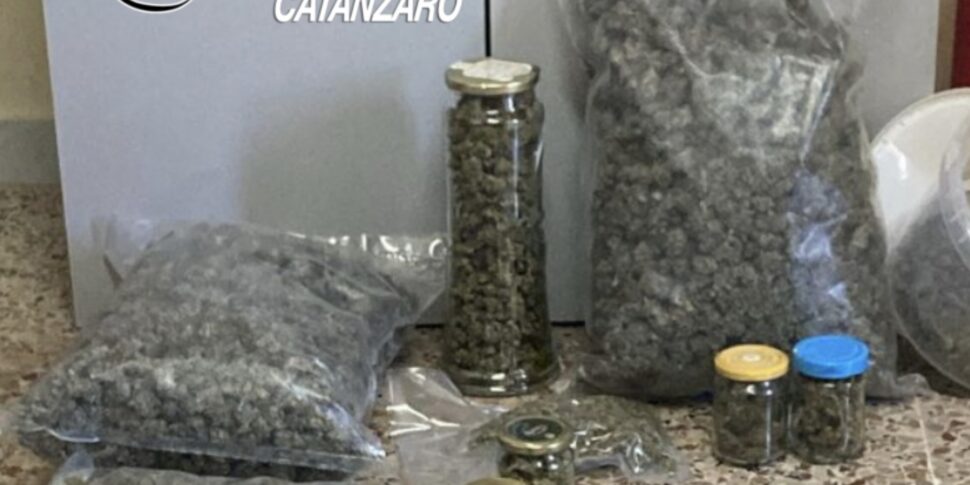 They intervene for a dispute and discover over three kilos of marijuana hidden at home, 25 years old arrested in Maida