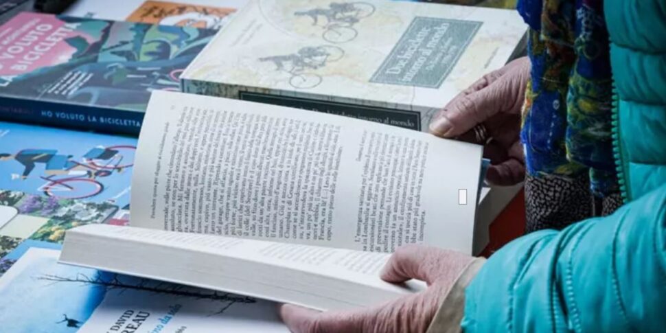 Books and readers in the South: a "spring" is needed