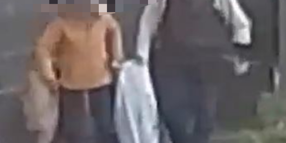 Dog puppies "sausages" in Sangineto: the complaint is taken to the carabinieri
