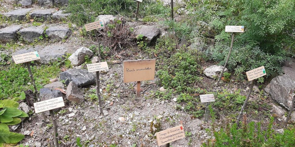 Milazzo, the Botanical Garden of Muma ends up on "Rai 1"