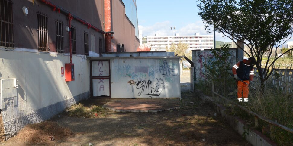 The reclamation of the area behind the Palacorvo of Catanzaro, Celia: "intervention awaited by residents"