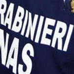 Two premises of Reggio closed for serious hygienic deficiencies: 300 kilos of food seized