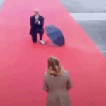 Edi Rama kneels in front of Giorgia Meloni in Tirana: Irony and Intesa Italia-Albania at the top of CPE