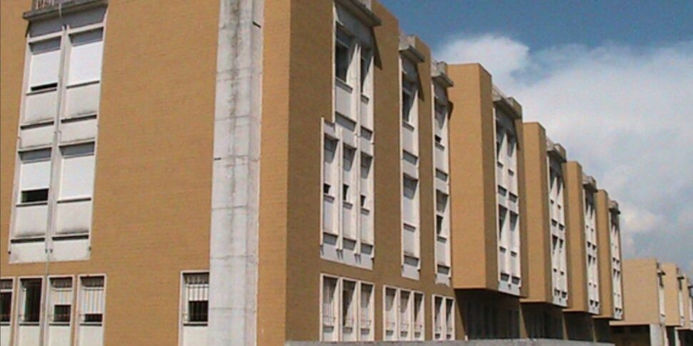 Healthcare, «The ASP of Reggio Calabria satisfies joy and palms. A hole in the water for Rosarno "