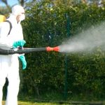 Messina, the first phase of disinfestation interventions ends: here are the areas