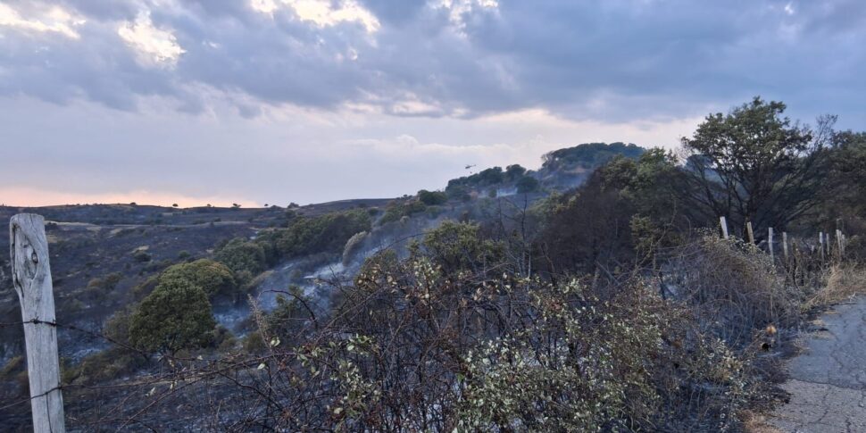 Very vast fire in Cesarò, heavy balance: over 600 hectares went incinerated
