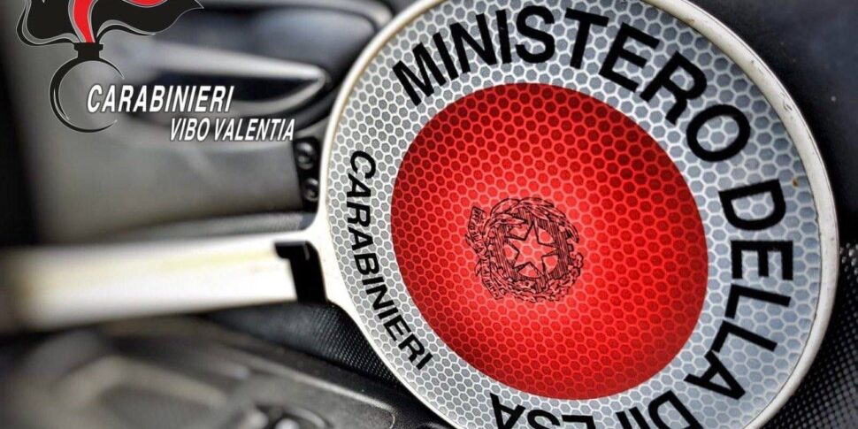 Burst of controls of the carabinieri in the Vibonese: an arrest, six complaints for driving in a state of intoxication and three licenses withdrawn