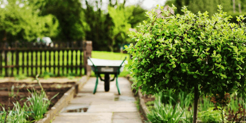 Catanzaro, a social farm as an inclusive development model