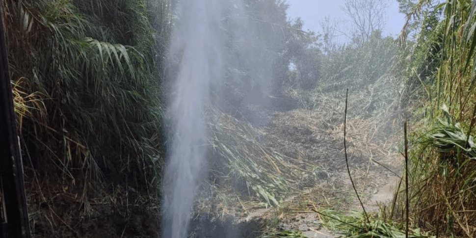 Chronic disservices to the water networks of Paola, Acquappasa and Fuscaldo