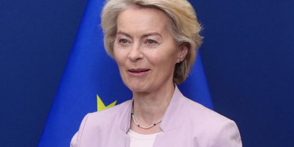 EU: "Understanding with the US on the declaration, duties at 15% on cars"