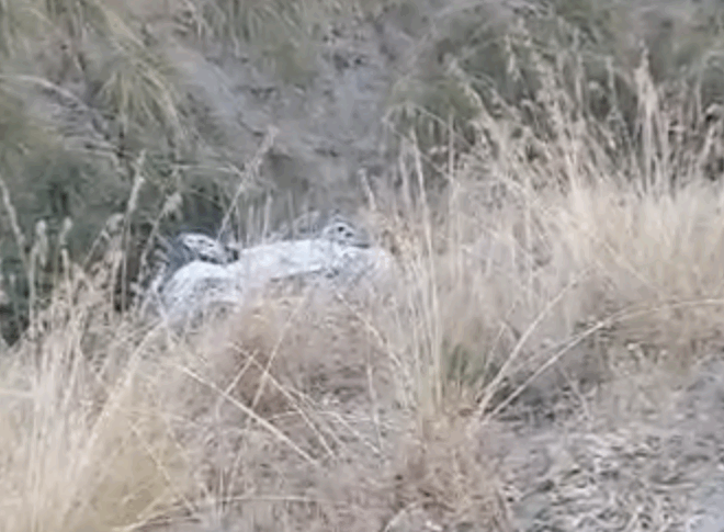 Fear in Reggio, car falls from a cliff for over 30 meters. But the vehicle was ... abandoned video