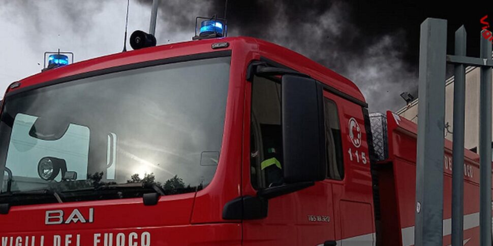 Fire in Montebello Jonico: Fiamme in a naturalistic area of ​​Saline Joniche