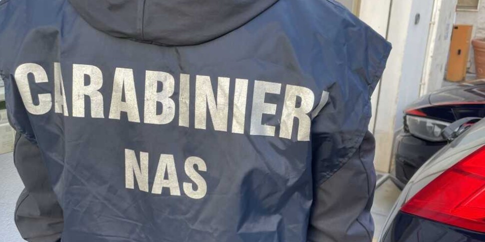 Food safety, NAS checks in Tropea: a restaurant closed