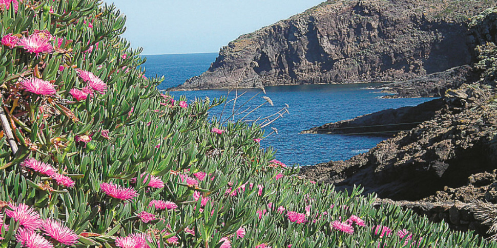 From Pantelleria to Mars: in a Sicilian lake the foundations of life