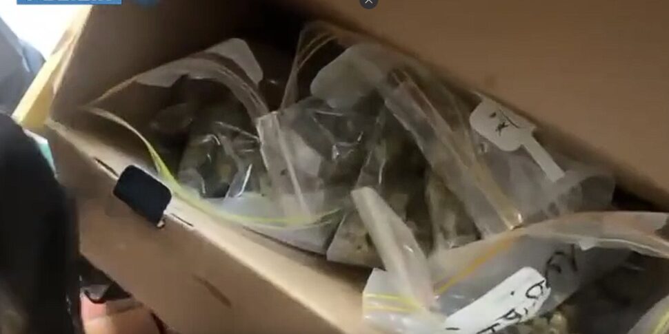 He lived with the son of a year in a padded drug ready for the shop: 21 years old from Messina arrested in Catania