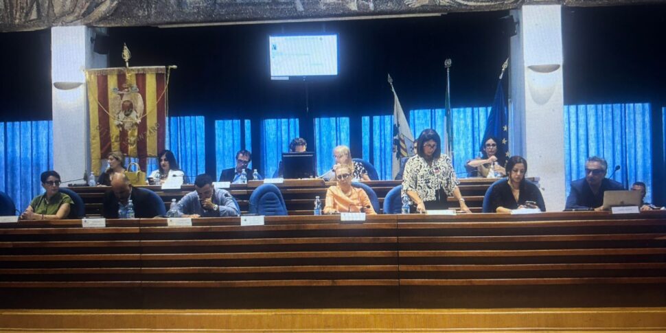 In the classroom the knots of Catanzaro Servizi. Waiting for the mayor's report