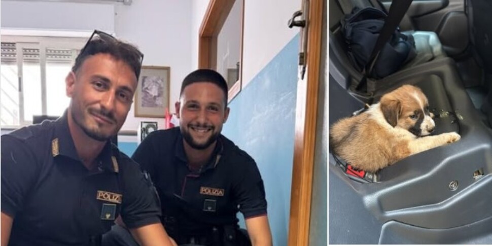Lost puppy saved by two policemen in Gioia Tauro