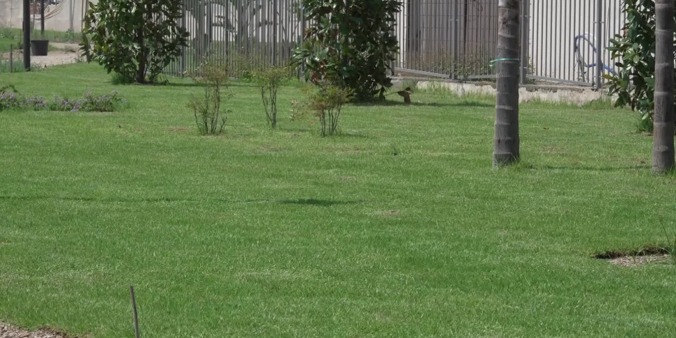 Messina wants to be ... proud: we already work on future management