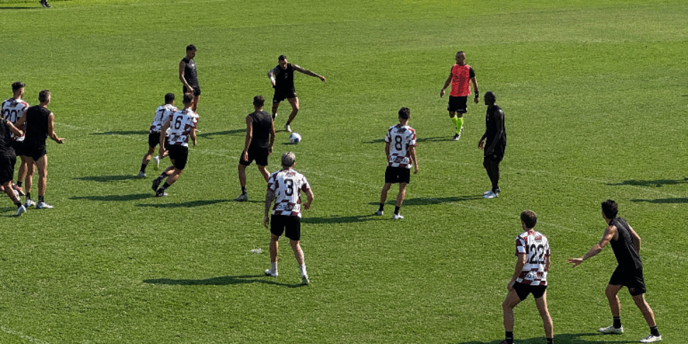 Reggina restarts from the most faithful, 2056 fans already subscriber